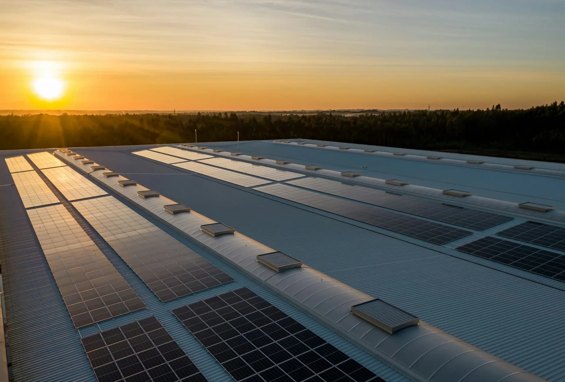 Rooftop solar array at golden hour